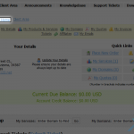 How to register a domain name in the client portal