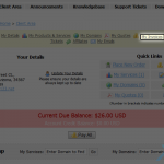 How to pay invoices in the client portal