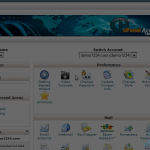 How to change the primary language in cPanel