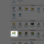 How to create a subdomain in cPanel