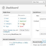 How to manage categories in WordPress